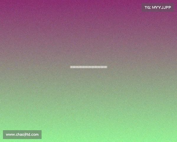 李嗣镕本赛季克罗地亚甲级联赛数据分析：出场表现回顾